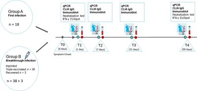 Frontiers | Omicron (B.1.1.529) BA.1 Or BA.2-related Effects On Immune ...